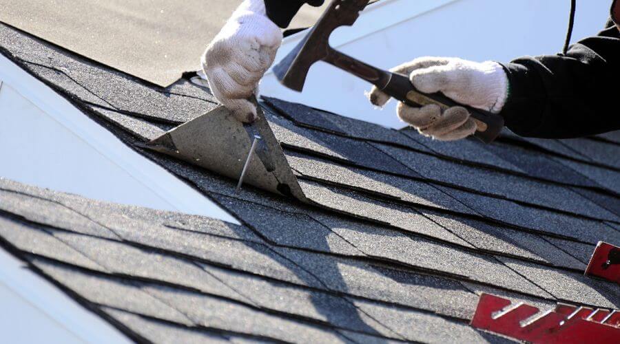 Local Siding Services in Caledonia, MN